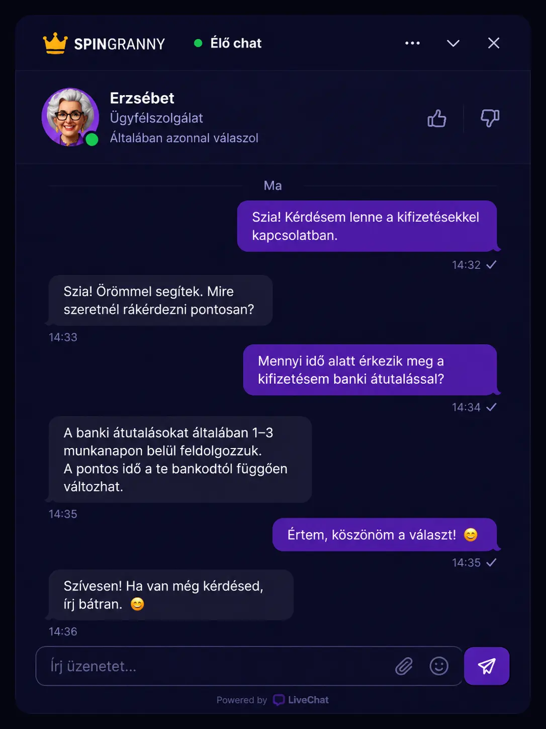SpinGranny élő chat ablak mintabeszélgetéssel